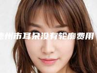 德州市耳朵没有轮廓费用表明细推荐-德州市第二人民医院美容整形价位表