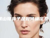 黄山隆鼻子是如何确定费用的_黄山隆鼻子手术价格的情况如何